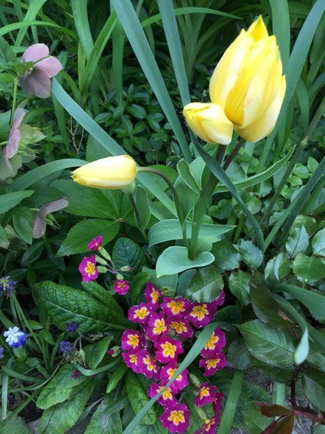 82BEEFEE-917B-4FBF-BB20-1C1E2D7AB290 - Aprilie