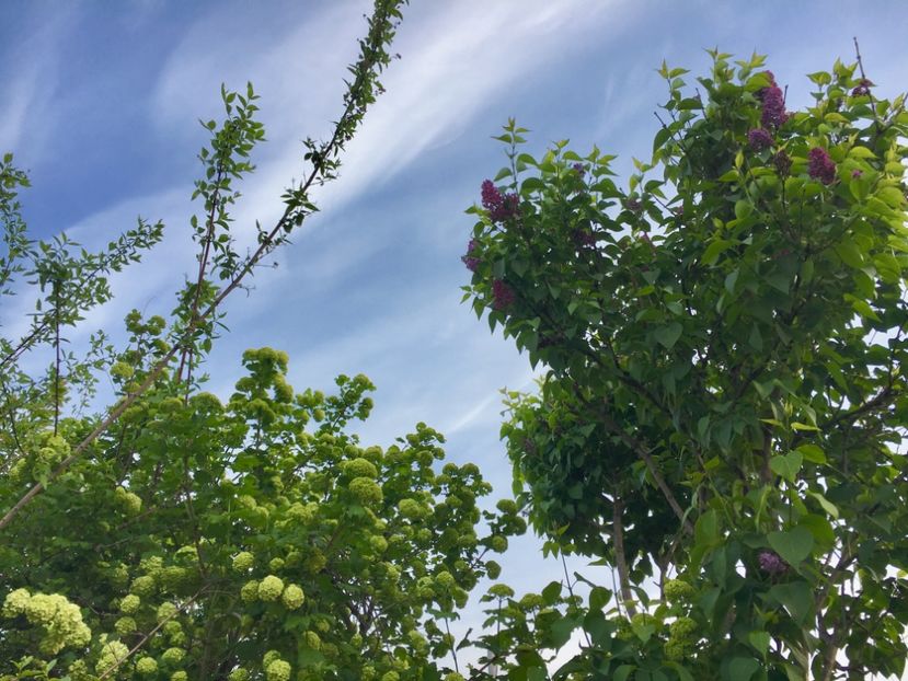 BA7B5BD3-261B-4DC9-A7A1-5140BA7FBD92 - Aprilie