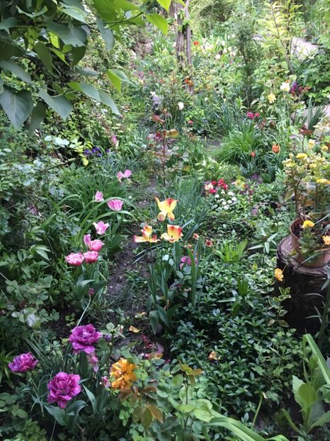 7492813D-D8C2-4D4E-9BE7-A9702D80B64E - Aprilie