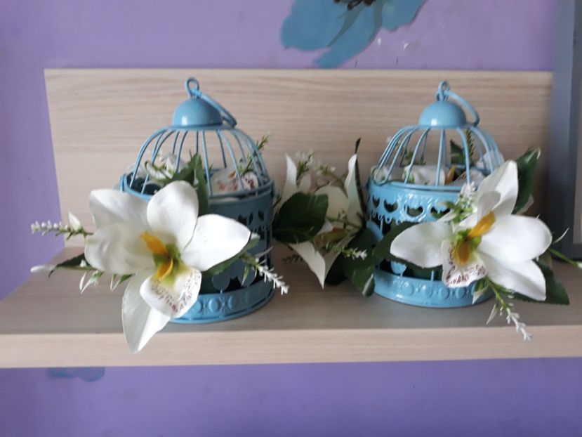  - Sectiunea 1C-Porumbei albi pentru evenimente