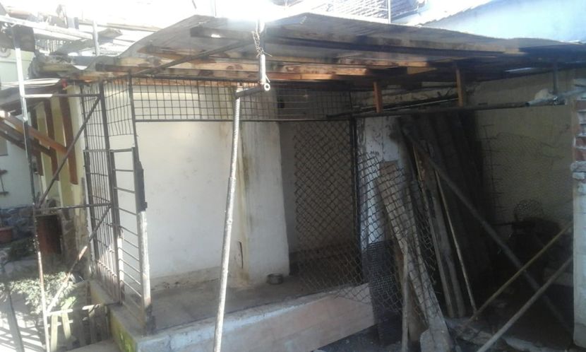 IMG-20190410-WA0007 - Construcții casă 2