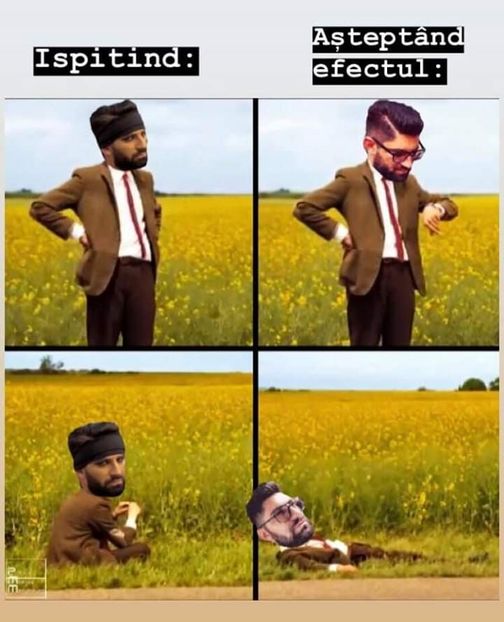  - Sezonul 5 insula iubirii - memes 1