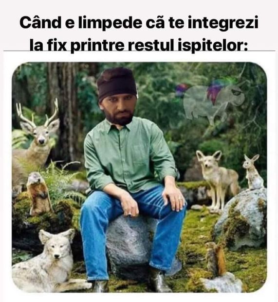  - Sezonul 5 insula iubirii - memes 1