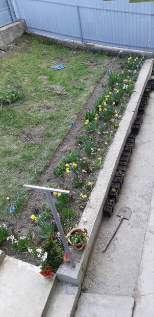  - Primavara lui 2019 in gradina mea