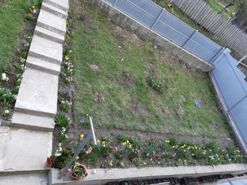  - Primavara lui 2019 in gradina mea