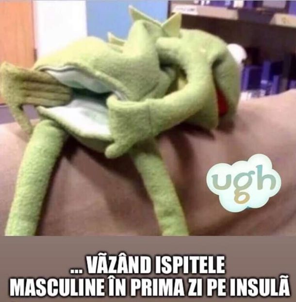  - Sezonul 5 insula iubirii - memes 1