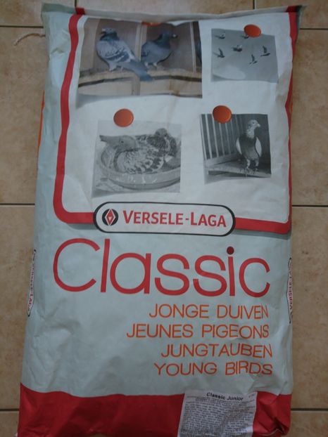 CLASSIC JUNIOR 20 KG 69 RON - PRODUSE VERSELE-LAGA