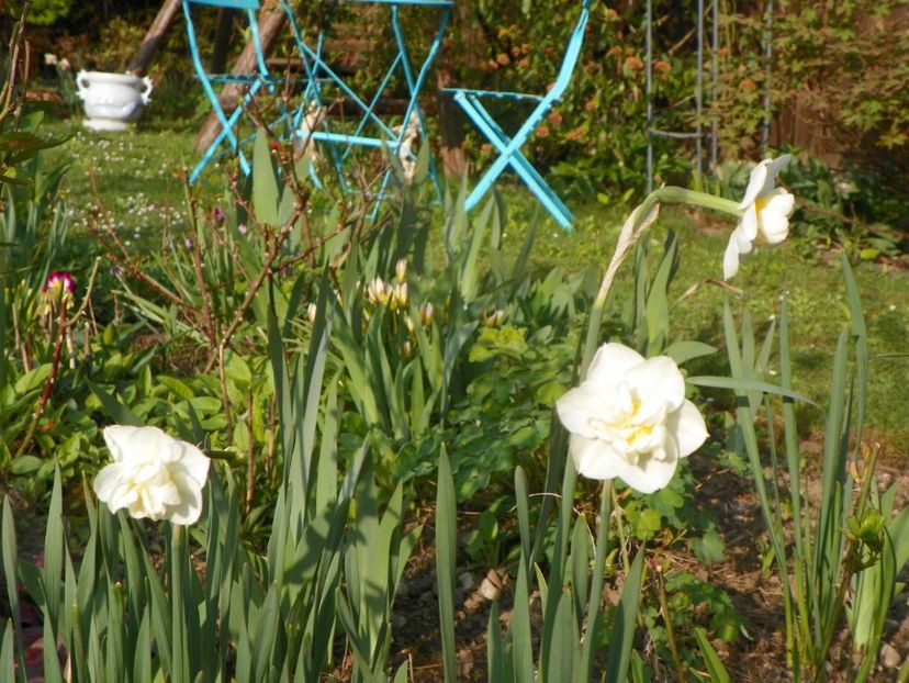 24 apr (8) - Primavara 2019