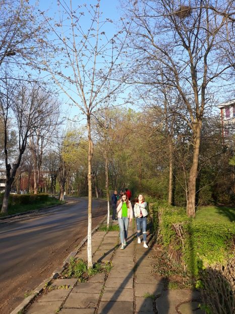  - 2019 - Excursie Constanta