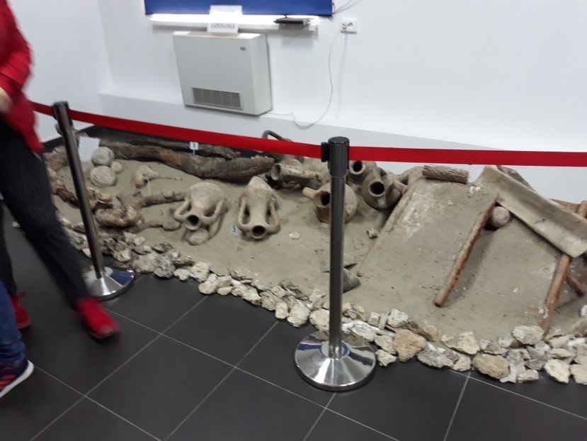  - 2019 - Excursie Constanta