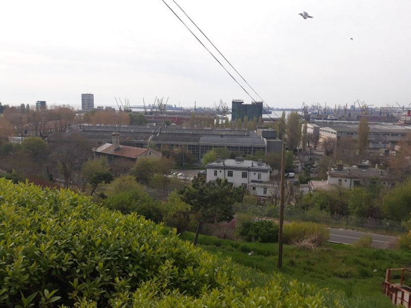  - 2019 - Excursie Constanta