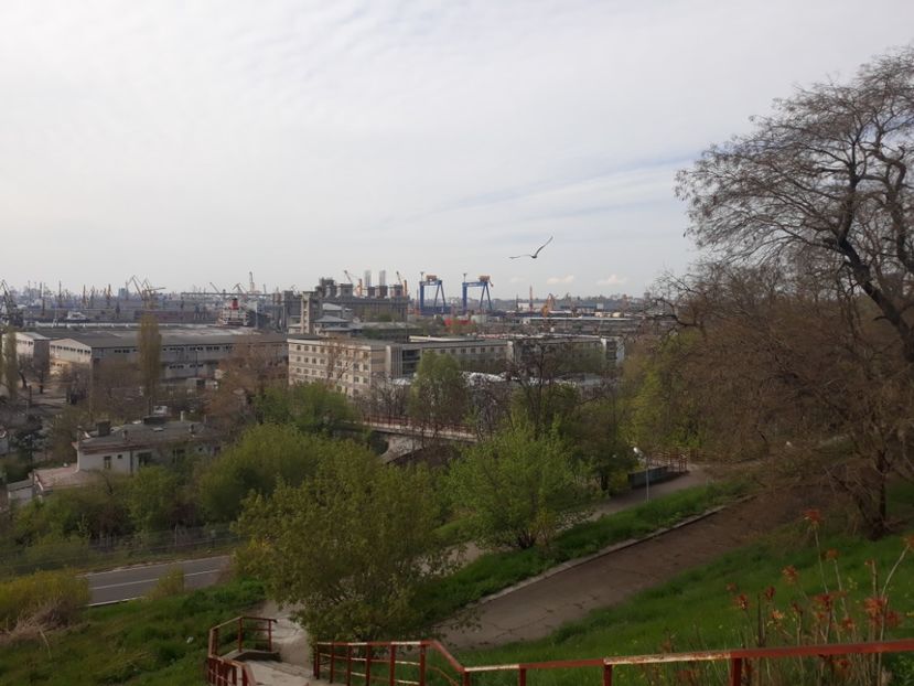  - 2019 - Excursie Constanta