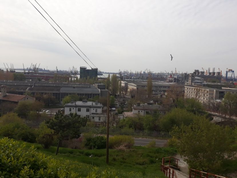  - 2019 - Excursie Constanta