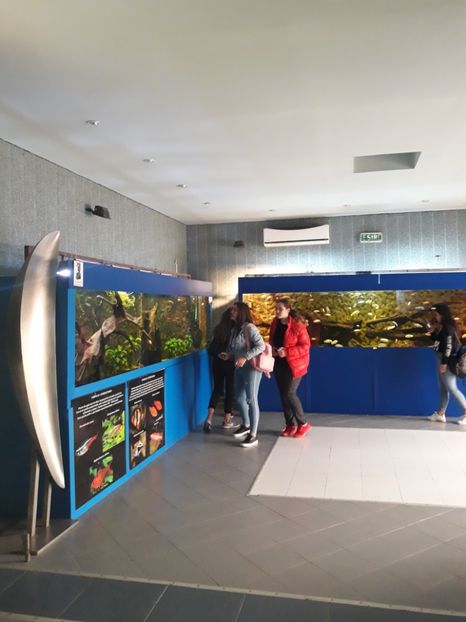  - 2019 - Excursie Constanta