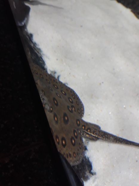  - 2019 - Excursie Constanta