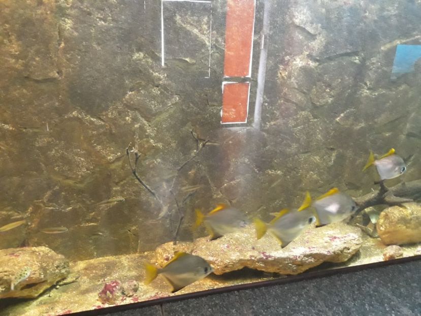  - 2019 - Excursie Constanta