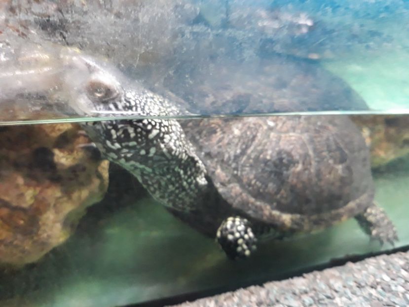  - 2019 - Excursie Constanta