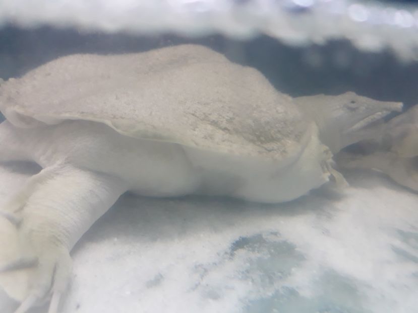  - 2019 - Excursie Constanta