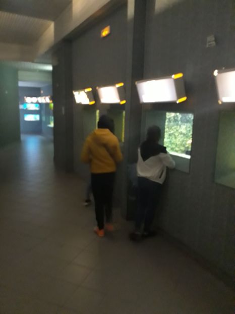  - 2019 - Excursie Constanta