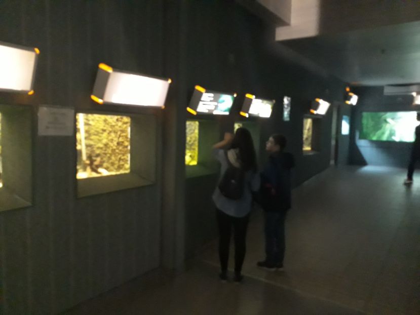  - 2019 - Excursie Constanta