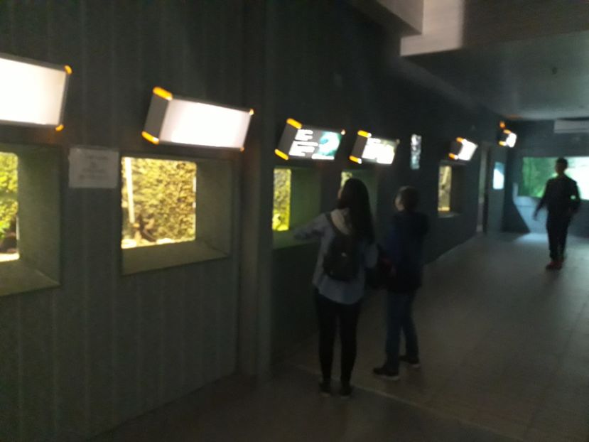  - 2019 - Excursie Constanta