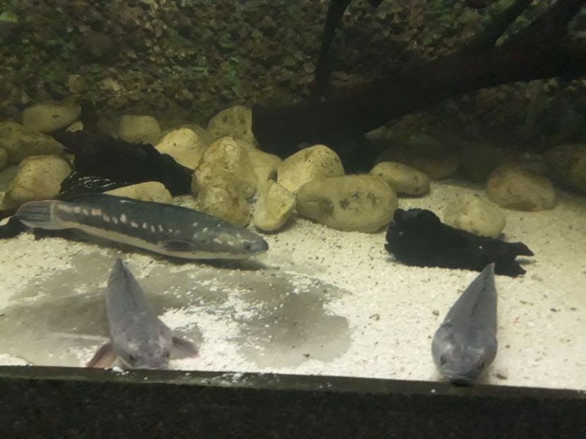  - 2019 - Excursie Constanta