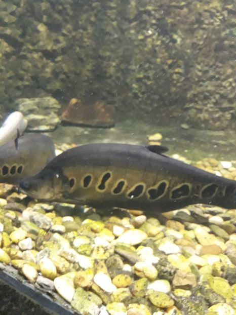  - 2019 - Excursie Constanta