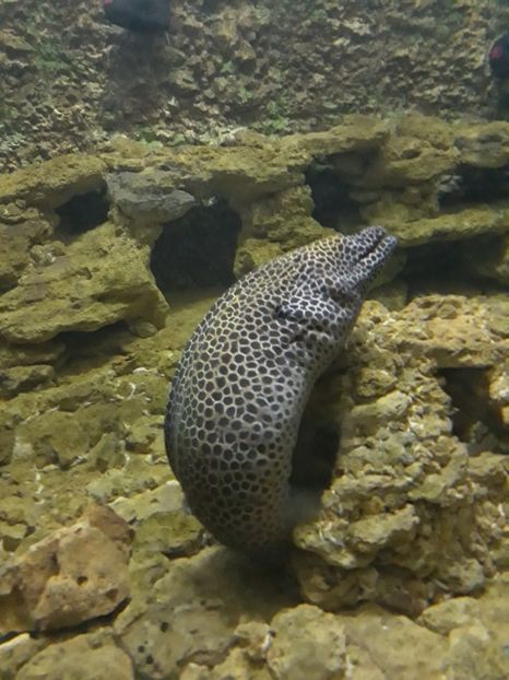  - 2019 - Excursie Constanta