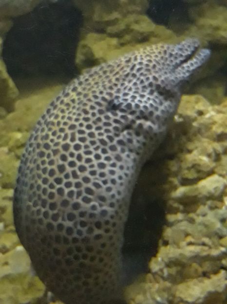  - 2019 - Excursie Constanta