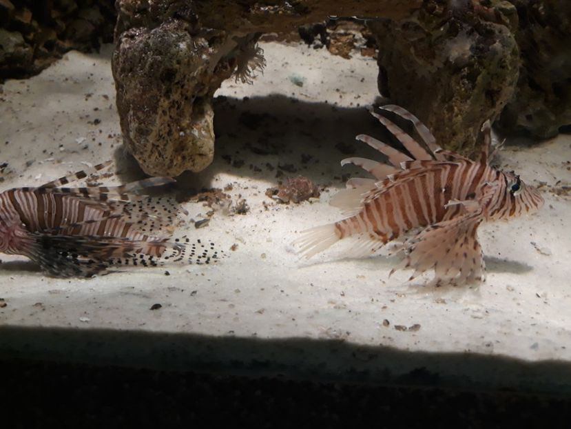  - 2019 - Excursie Constanta