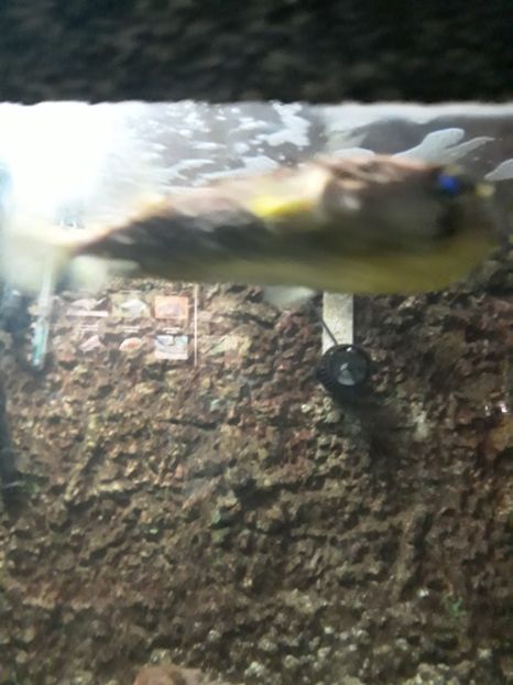  - 2019 - Excursie Constanta