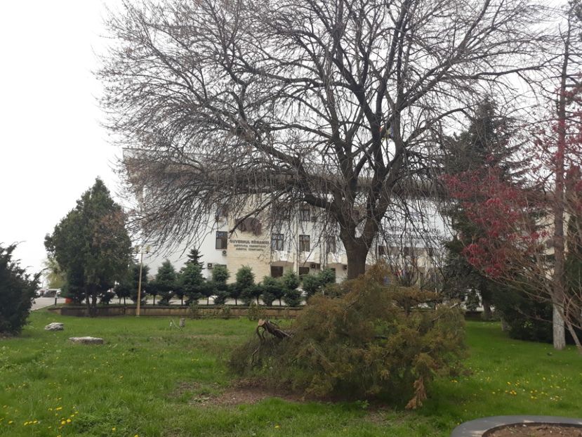  - 2019 - Excursie Constanta