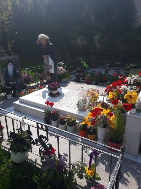  - 2019 - Excursie Constanta