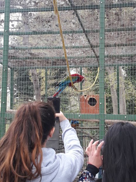  - 2019 - Excursie Constanta