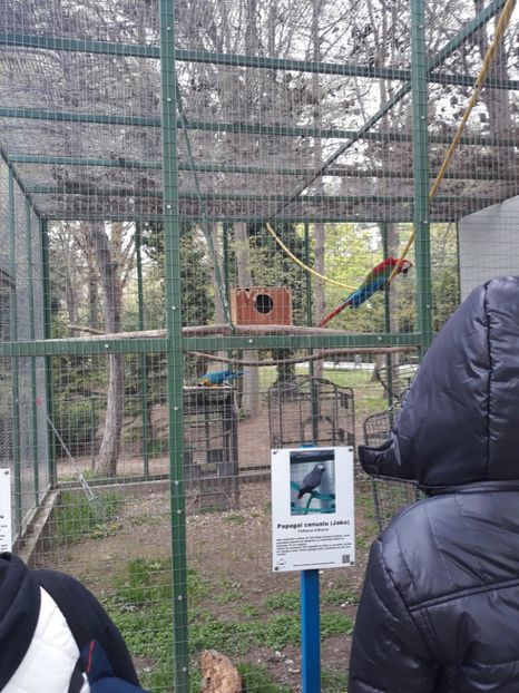  - 2019 - Excursie Constanta