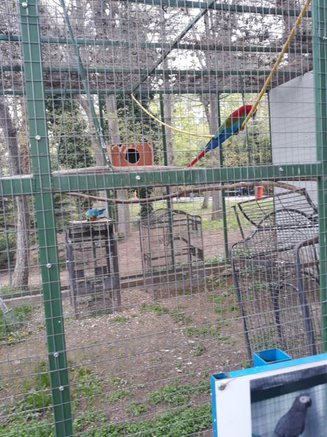  - 2019 - Excursie Constanta