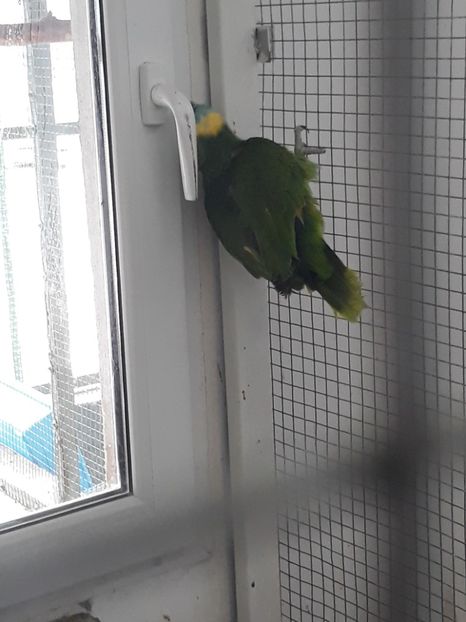  - 2019 - Excursie Constanta