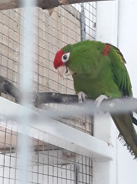  - 2019 - Excursie Constanta