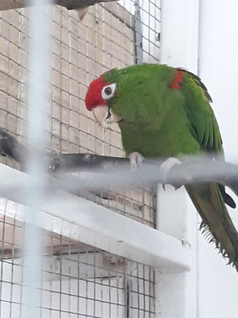  - 2019 - Excursie Constanta