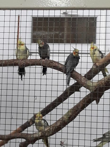  - 2019 - Excursie Constanta