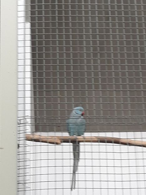  - 2019 - Excursie Constanta