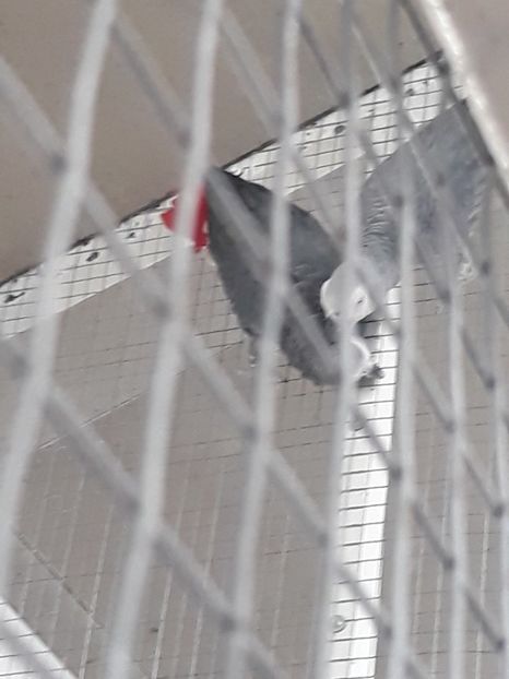 20190421_132805(0) - 2019 - Excursie Constanta