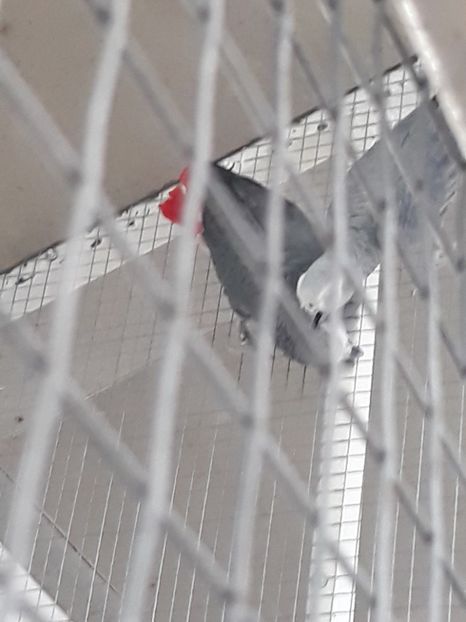  - 2019 - Excursie Constanta