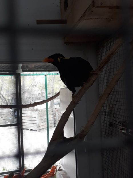  - 2019 - Excursie Constanta