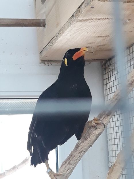  - 2019 - Excursie Constanta