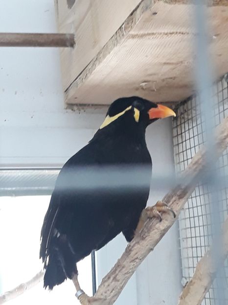  - 2019 - Excursie Constanta