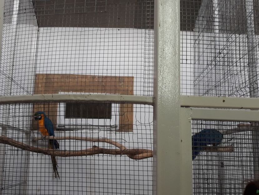  - 2019 - Excursie Constanta