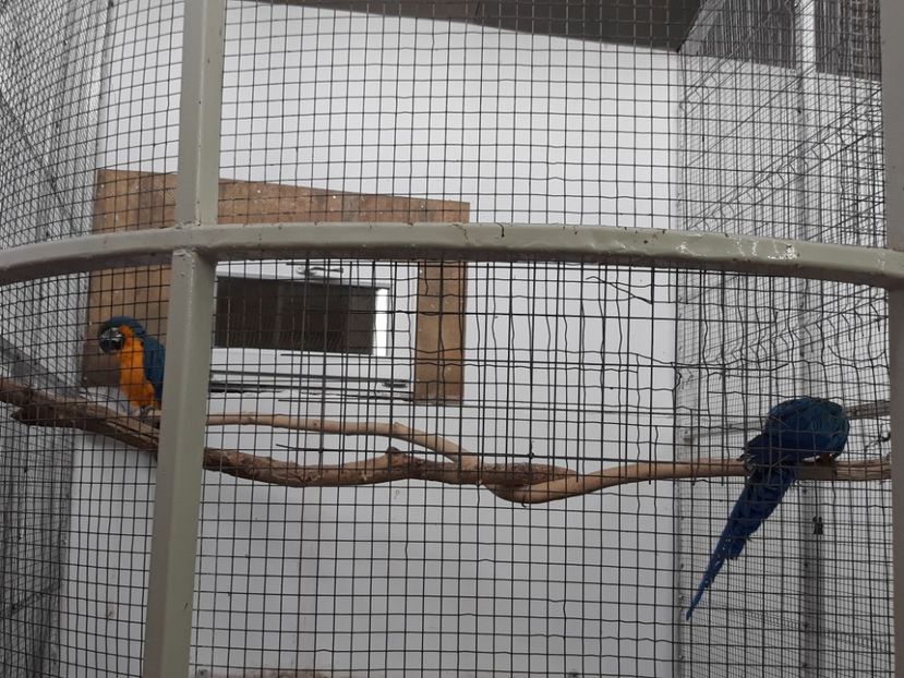  - 2019 - Excursie Constanta