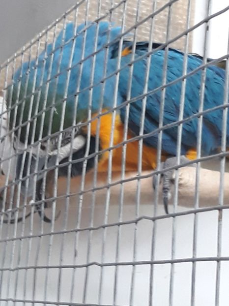  - 2019 - Excursie Constanta