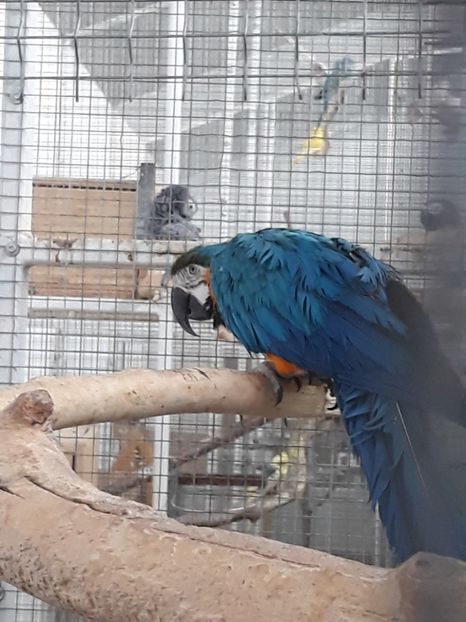  - 2019 - Excursie Constanta